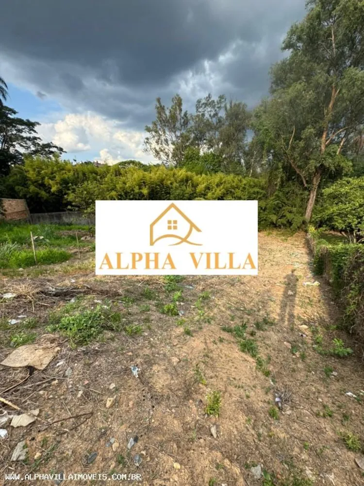 Terreno, 586 m² - Foto 7