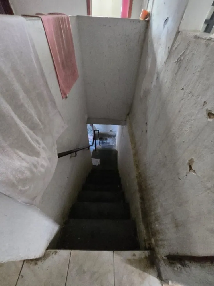 Casa, 5 quartos, 360 m² - Foto 11