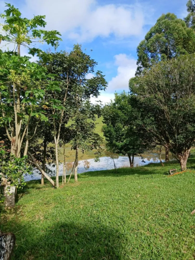 Sítio, 1 quarto, 35000 m² - Foto 5