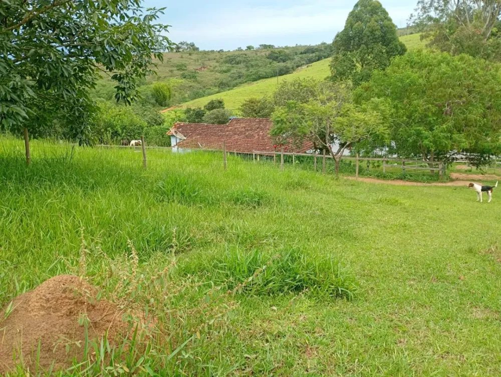 Sítio, 1 quarto, 35000 m² - Foto 6