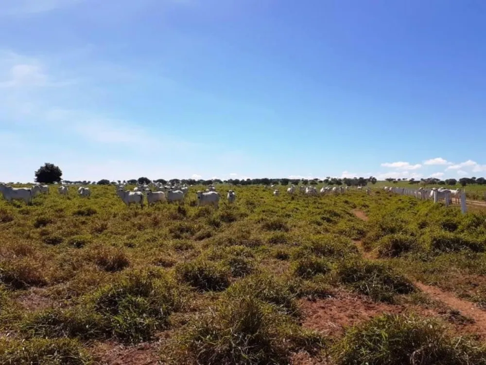 Fazenda, 5170 m² - Foto 7