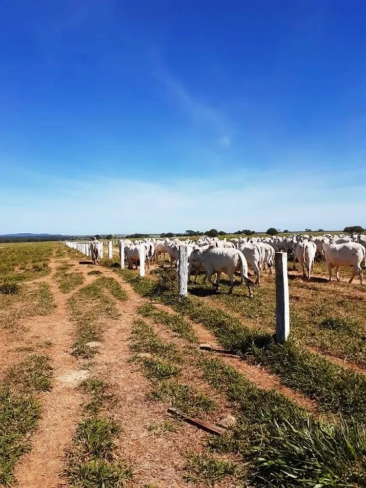 Fazenda, 5170 m² - Foto 1
