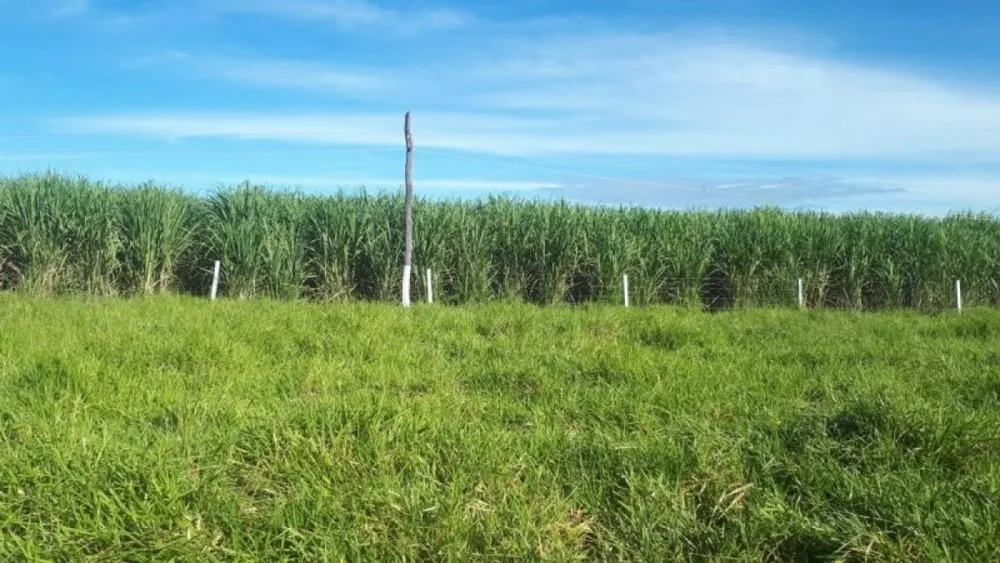 Fazenda, 5170 m² - Foto 13