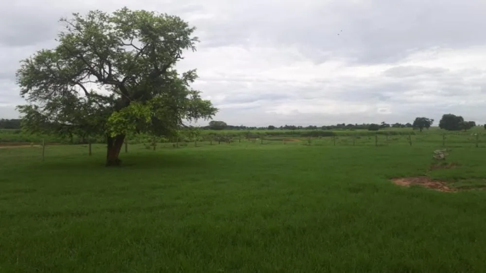 Fazenda, 5170 m² - Foto 10