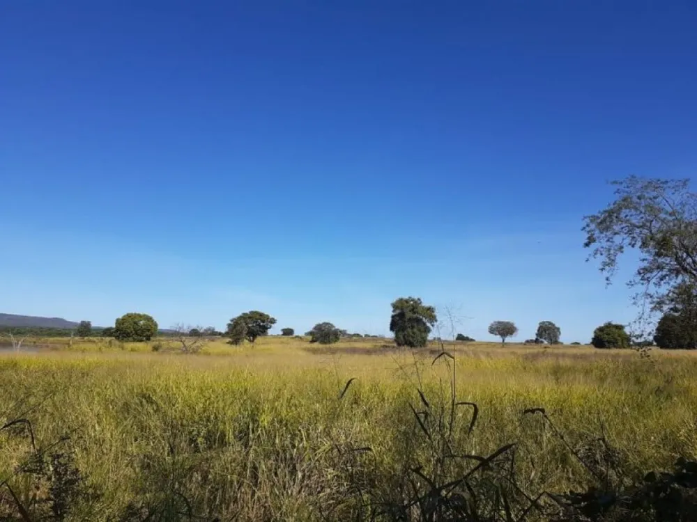 Fazenda, 5170 m² - Foto 5