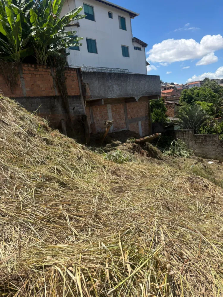 Terreno, 650 m² - Foto 11