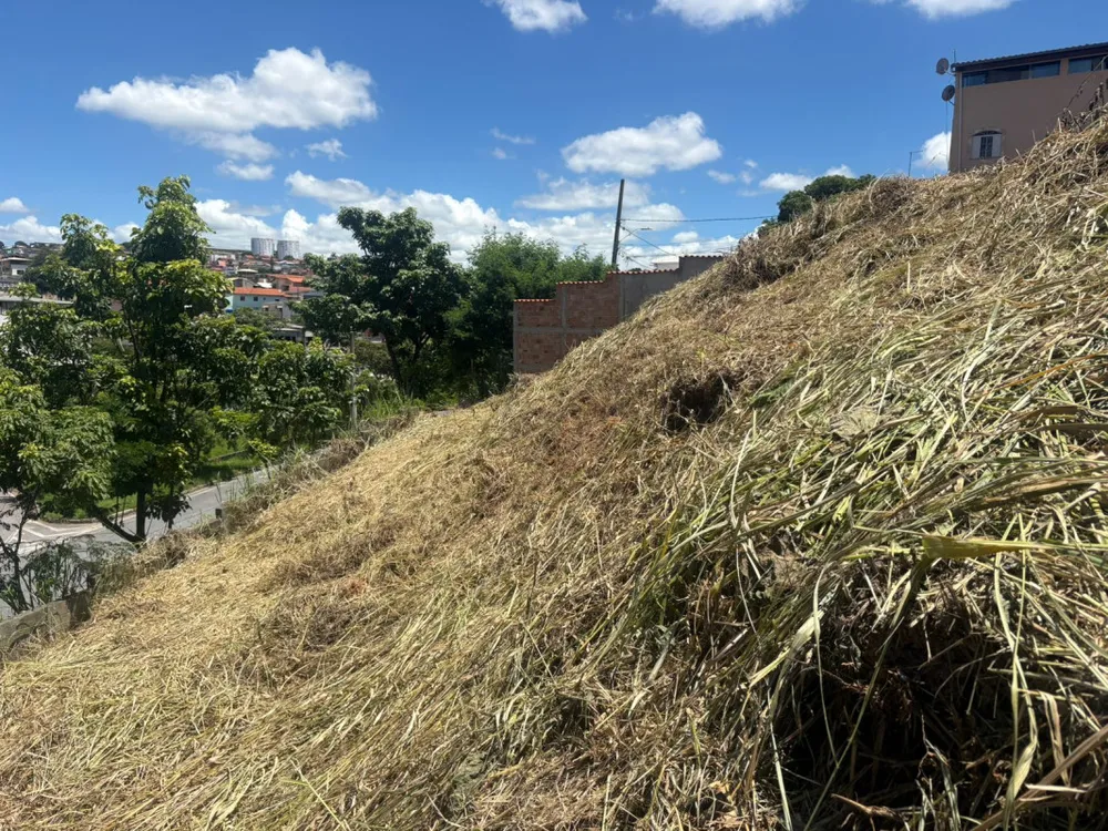 Terreno, 650 m² - Foto 6