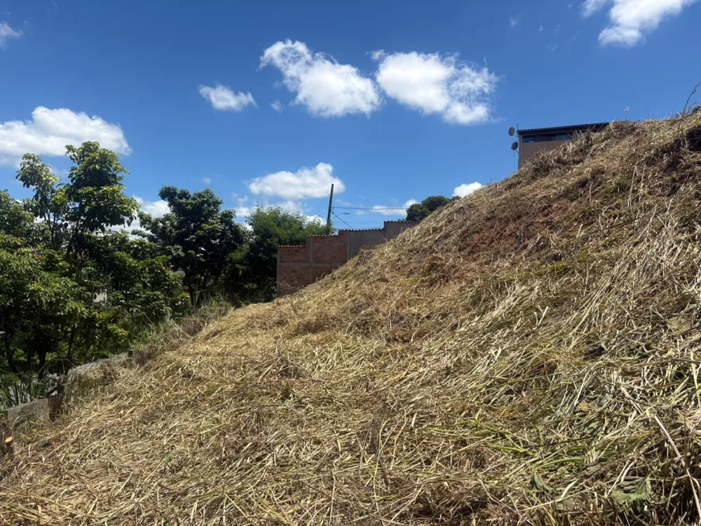 Terreno, 650 m² - Foto 7