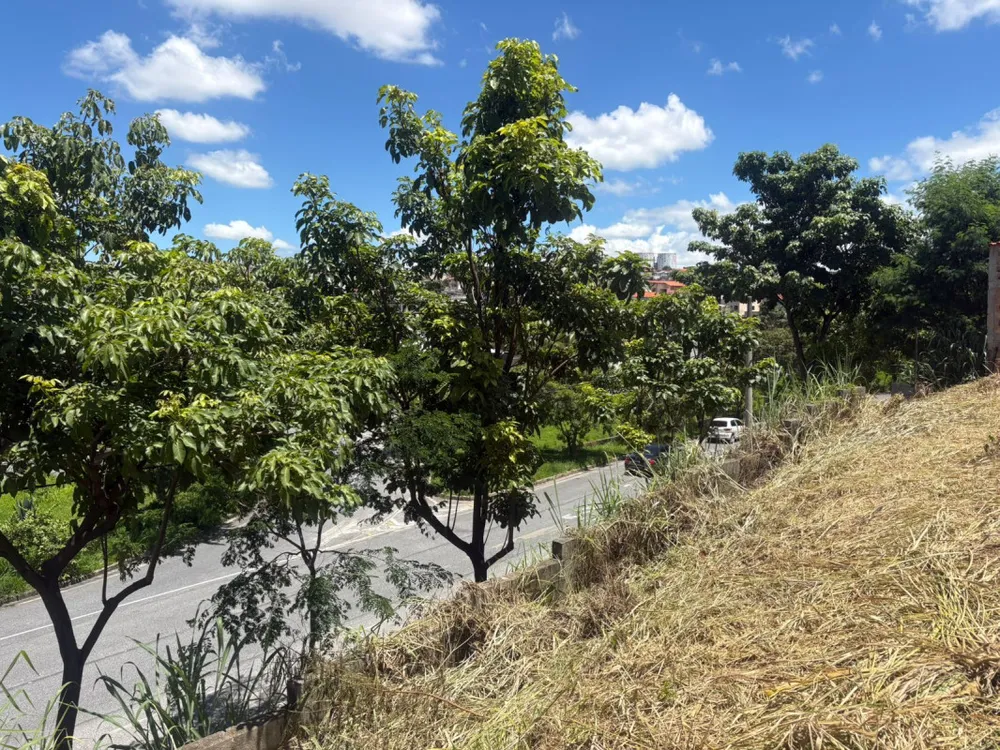 Terreno, 650 m² - Foto 5