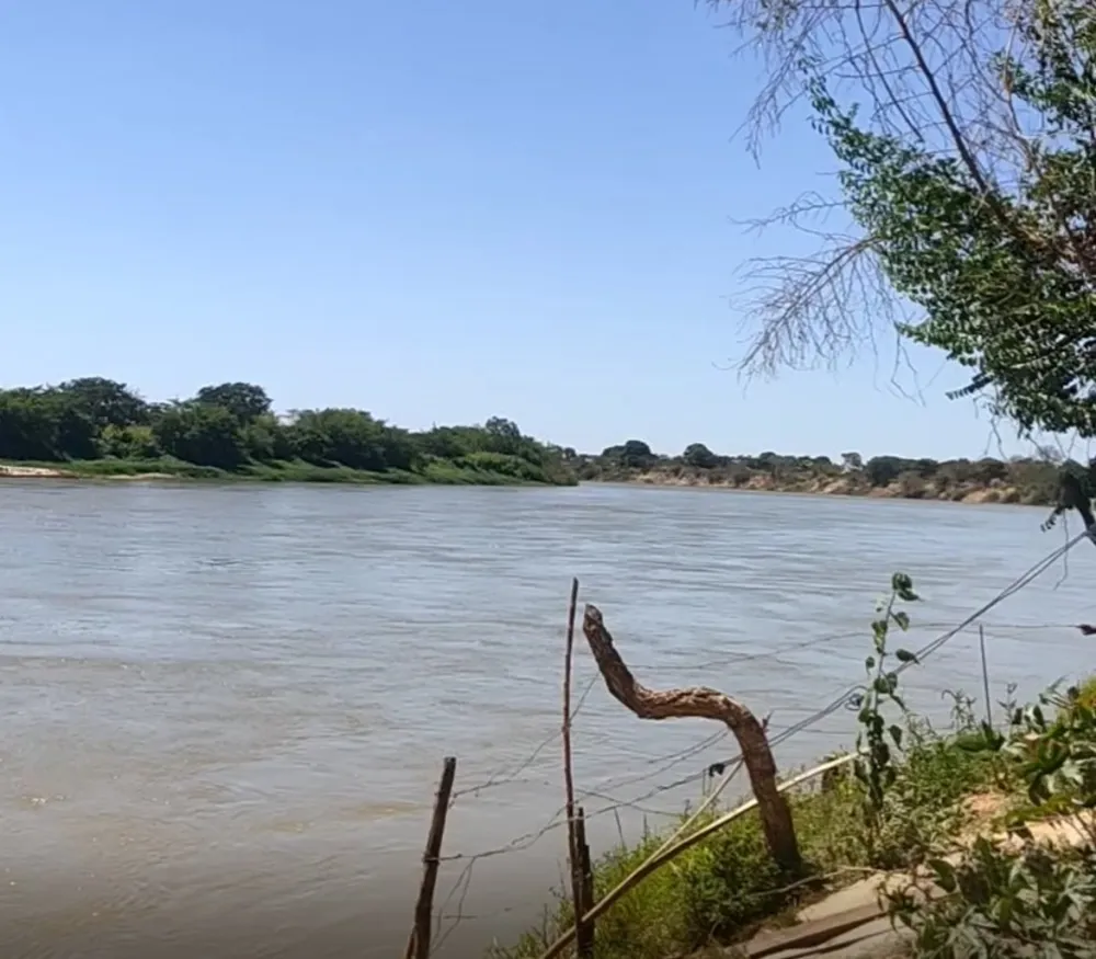 Fazenda, 4537 hectares - Foto 2
