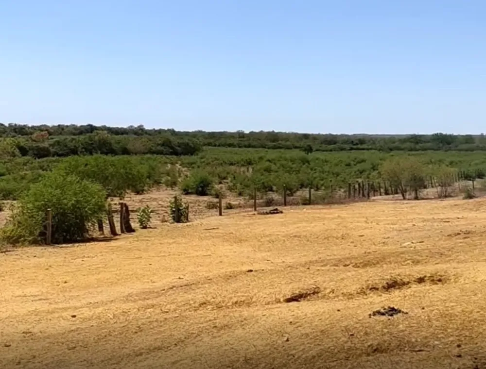 Fazenda, 4537 hectares - Foto 3