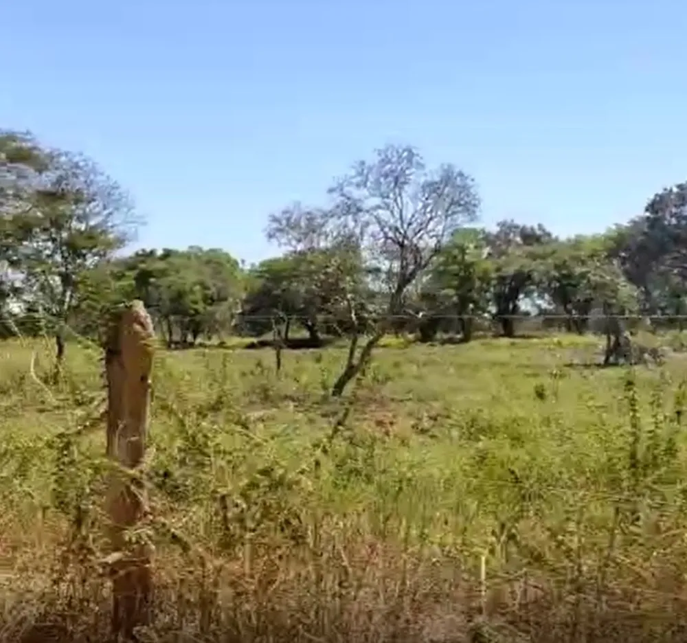 Fazenda, 4537 hectares - Foto 4