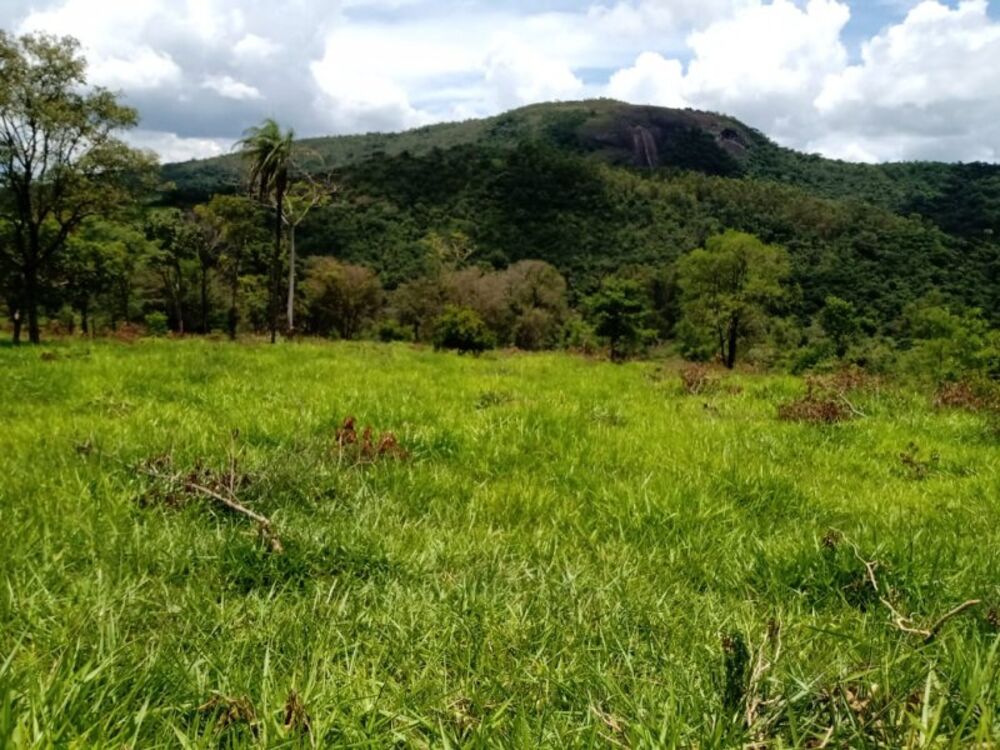 Terreno à venda, 50000m² - Foto 4