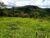 Terreno, 50000 m² - Foto 4