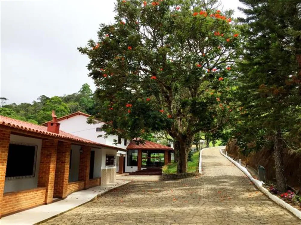 Sítio, 4 quartos, 700 m² - Foto 15
