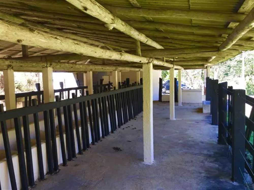 Sítio, 4 quartos, 700 m² - Foto 10