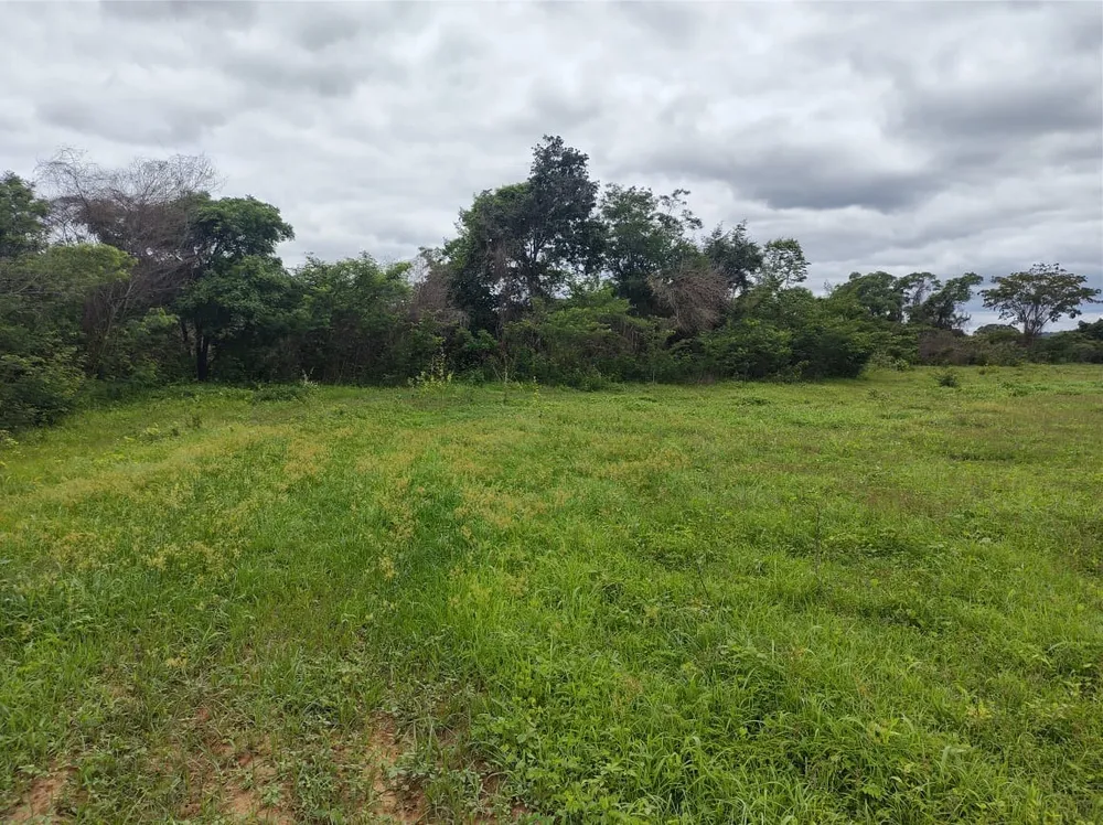 Fazenda, 2 quartos - Foto 3