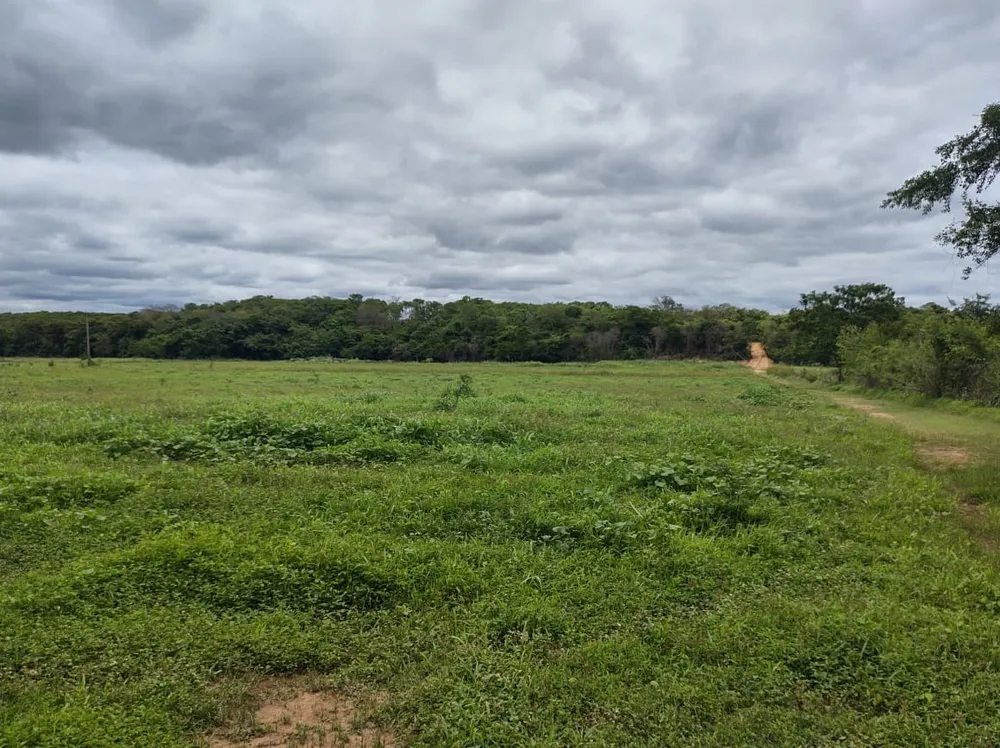 Fazenda, 2 quartos - Foto 2