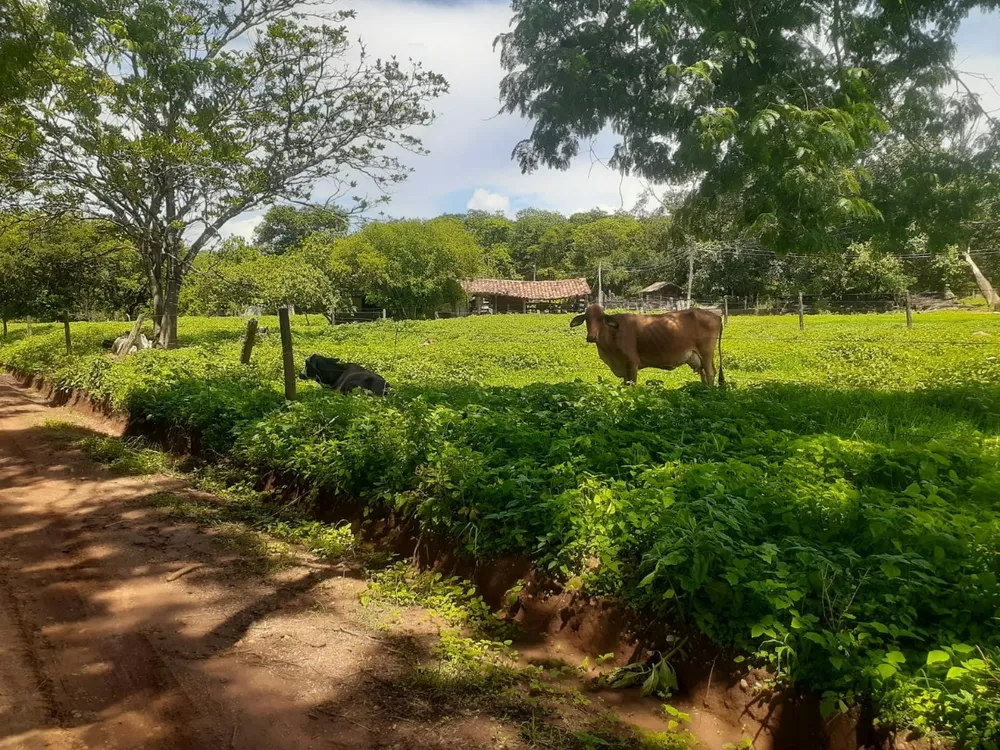 Fazenda, 2 quartos - Foto 5
