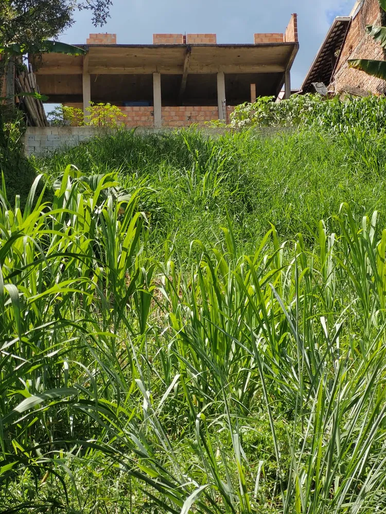 Terreno, 360 m² - Foto 3
