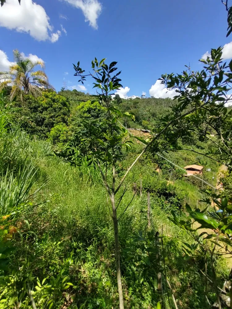 Terreno, 360 m² - Foto 1