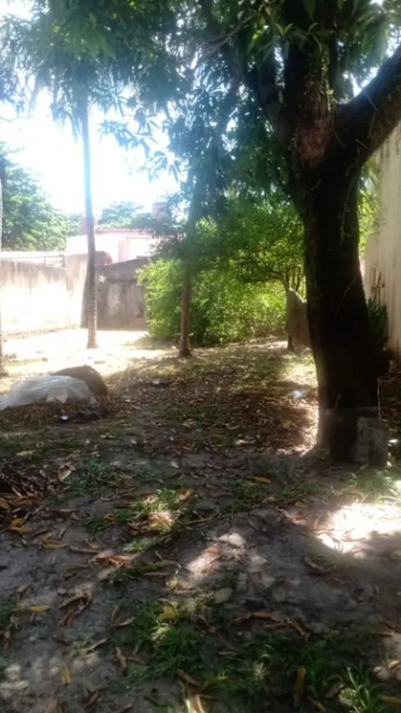 Casa, 3 quartos, 468 m² - Foto 5