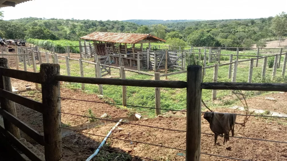 Chácara à venda com 4 quartos, 394470m² - Foto 16