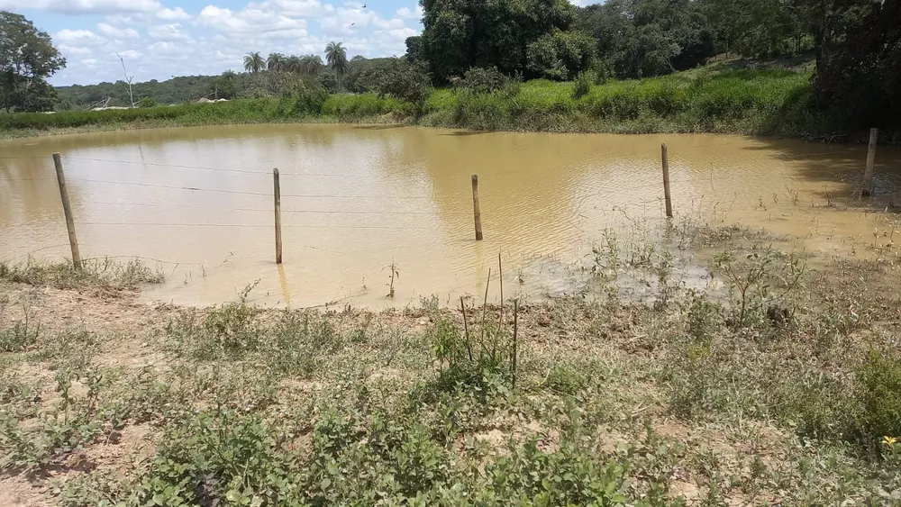 Chácara à venda com 4 quartos, 394470m² - Foto 14