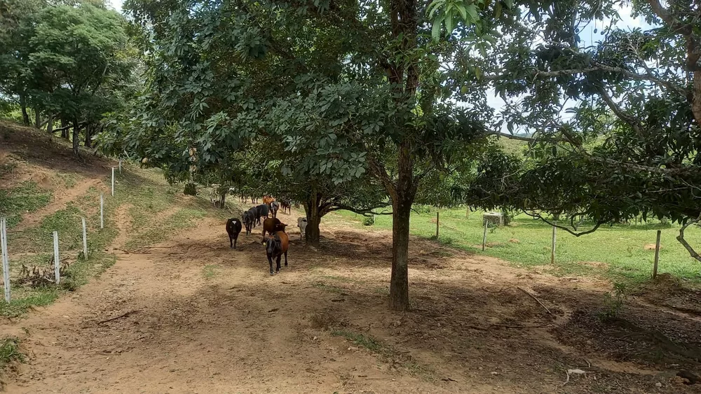 Chácara à venda com 4 quartos, 394470m² - Foto 13