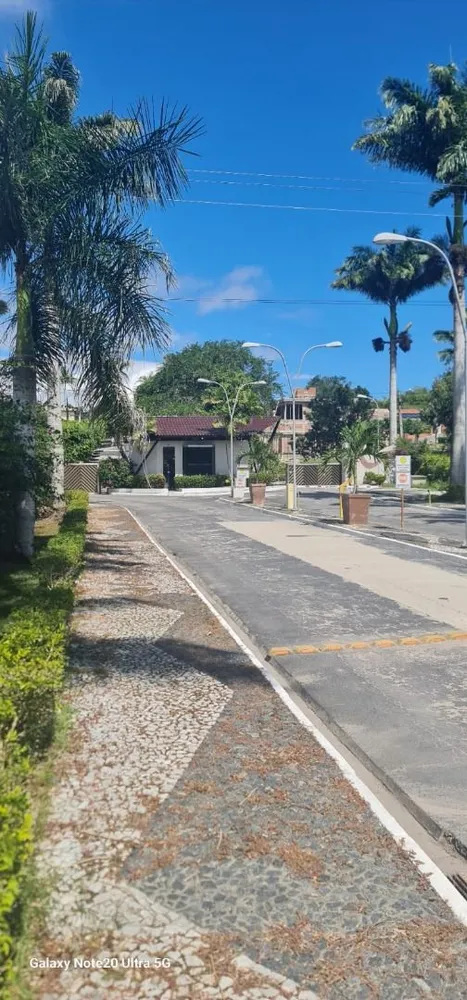 Casa, 3 quartos, 450 m² - Foto 6