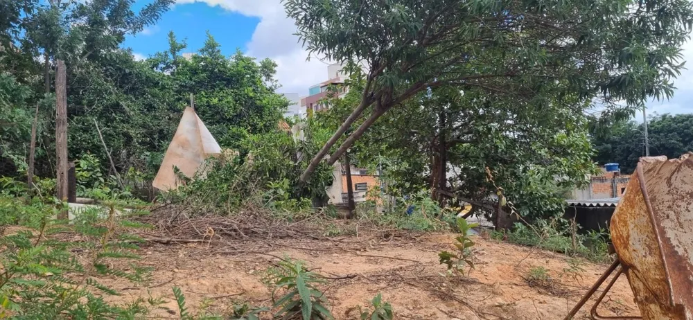 Terreno, 360 m² - Foto 4