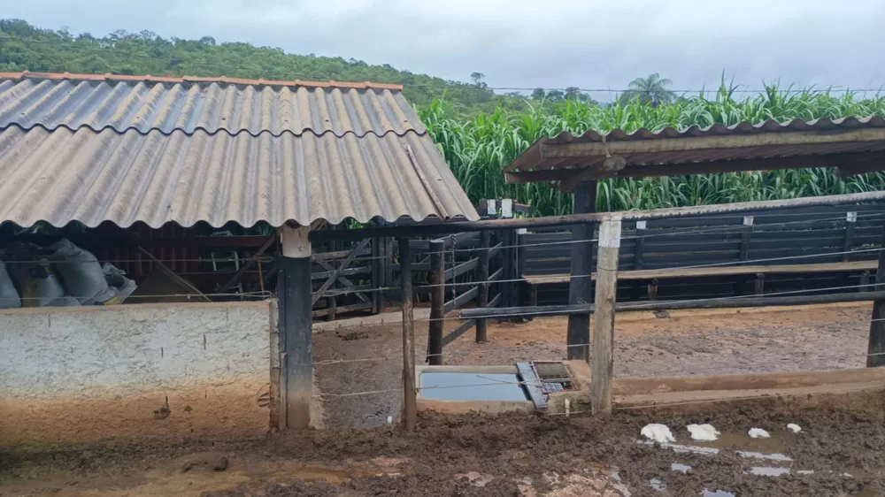 Fazenda, 19 hectares - Foto 2