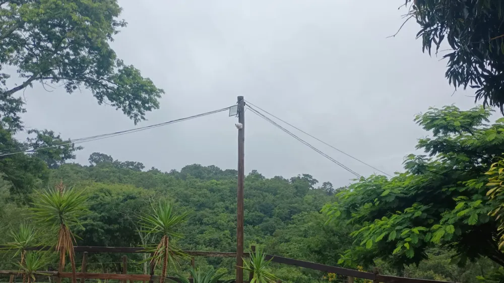 Fazenda, 19 hectares - Foto 4