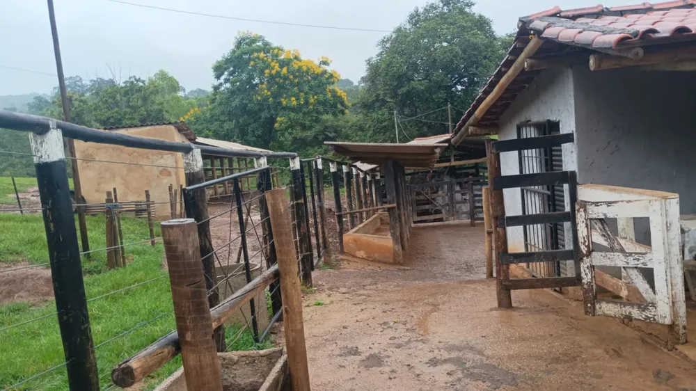 Fazenda, 19 hectares - Foto 11