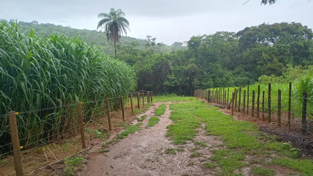 Fazenda, 19 hectares - Foto 1