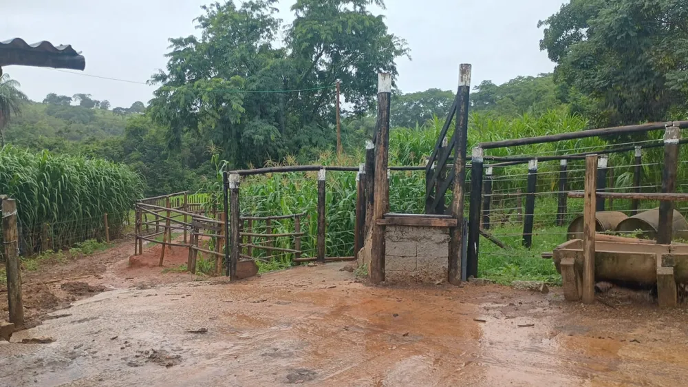 Fazenda, 19 hectares - Foto 3
