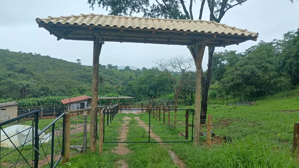 Fazenda, 19 hectares - Foto 4