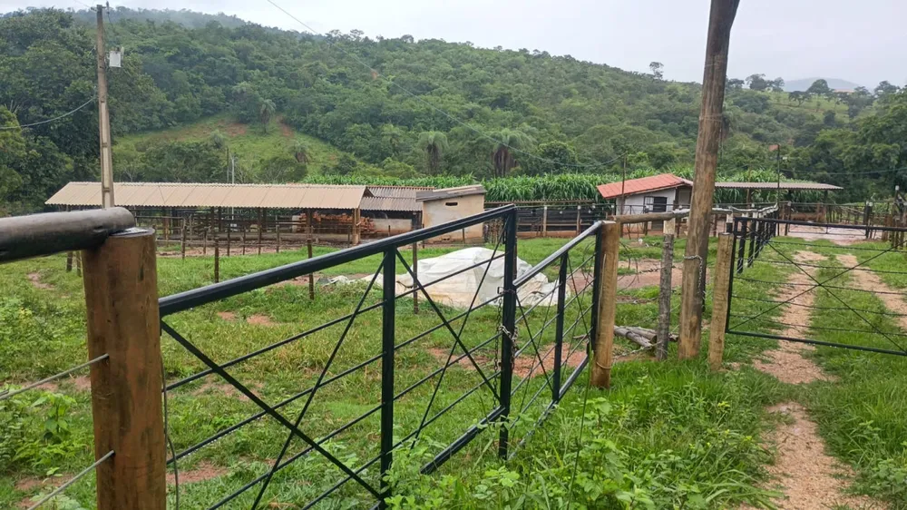 Fazenda, 19 hectares - Foto 9