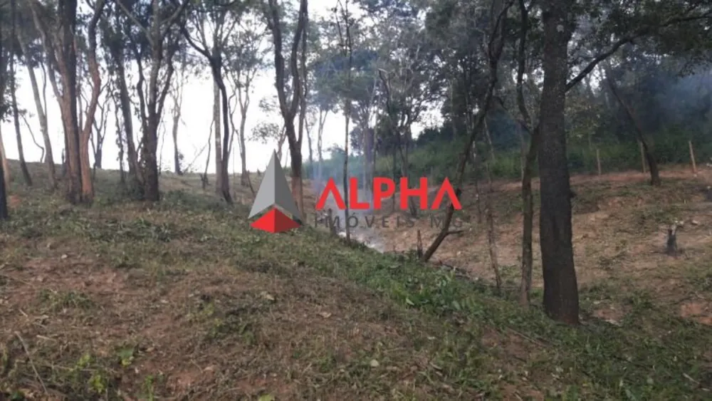 Terreno, 6750 m² - Foto 7