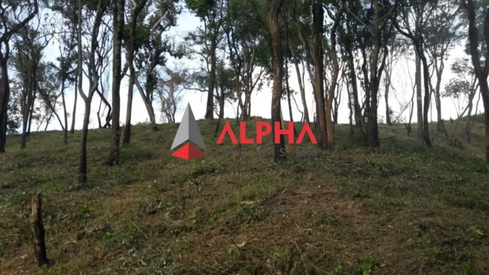 Terreno, 6750 m² - Foto 8