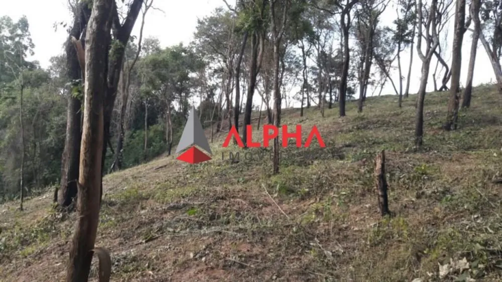 Terreno, 6750 m² - Foto 5