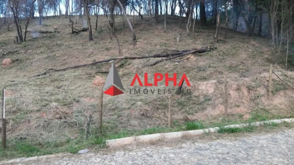 Terreno, 6750 m² - Foto 3
