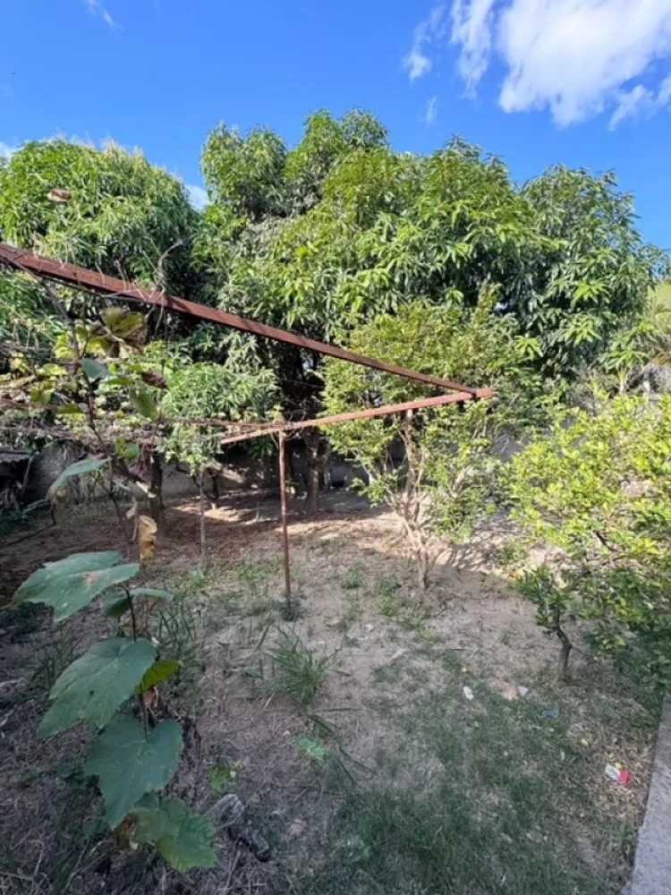 Casa, 4 quartos, 150 m² - Foto 5