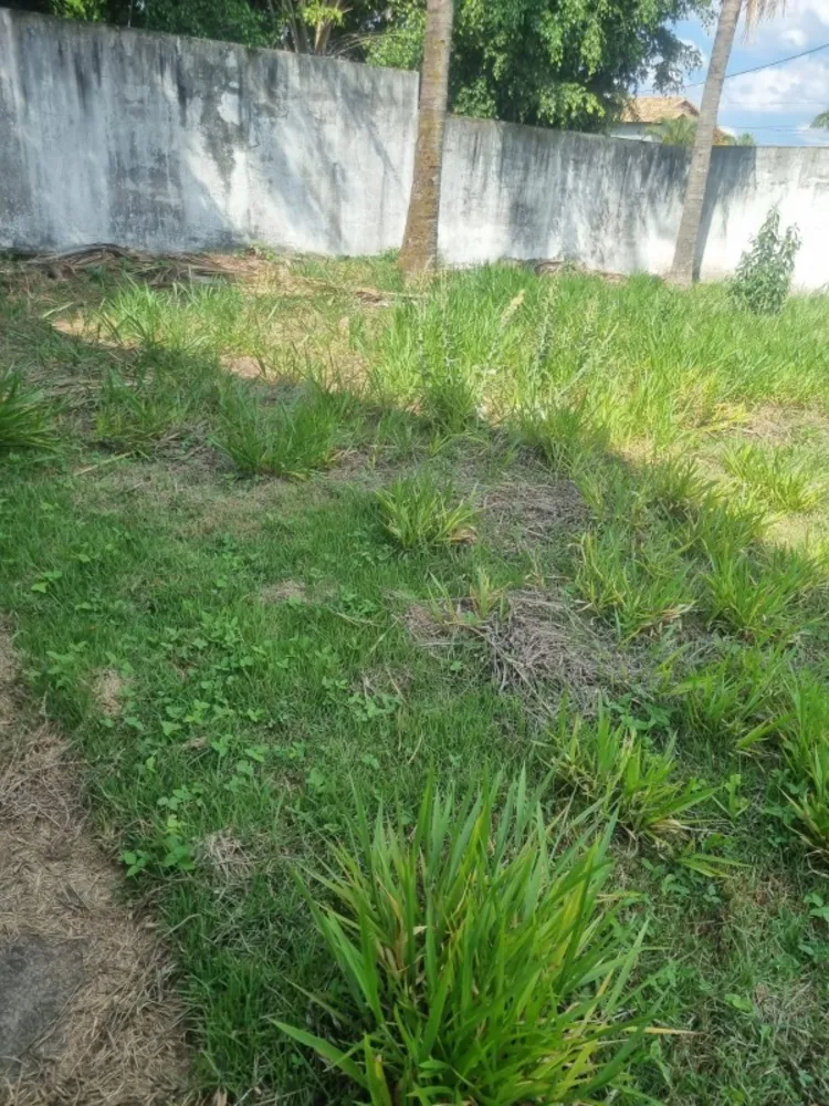 Terreno, 325 m² - Foto 3