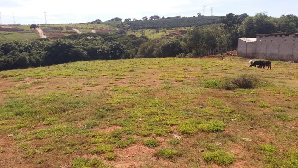 Terreno, 2 hectares - Foto 7