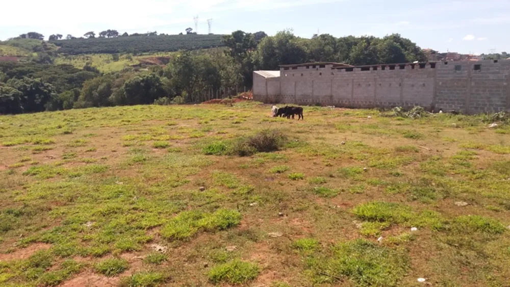 Terreno, 2 hectares - Foto 8
