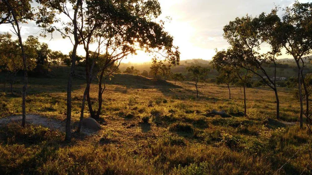 Terreno, 1000 m² - Foto 1