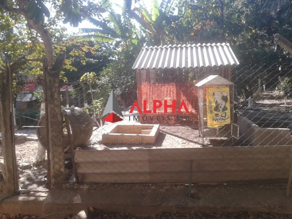 Chácara, 3 quartos - Foto 3