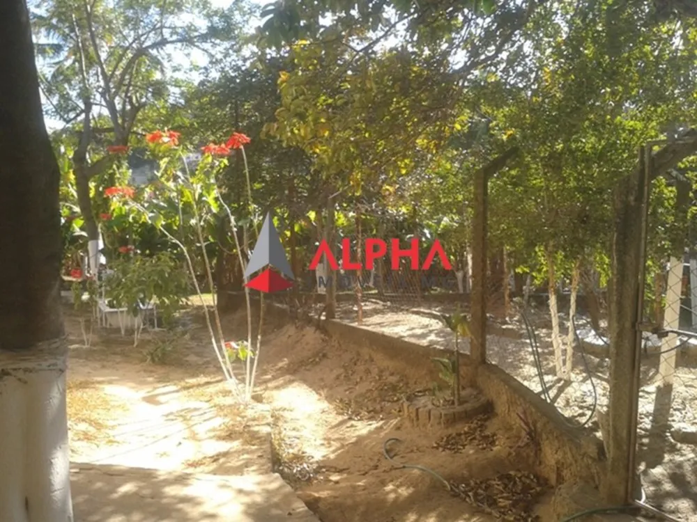 Chácara, 3 quartos - Foto 1