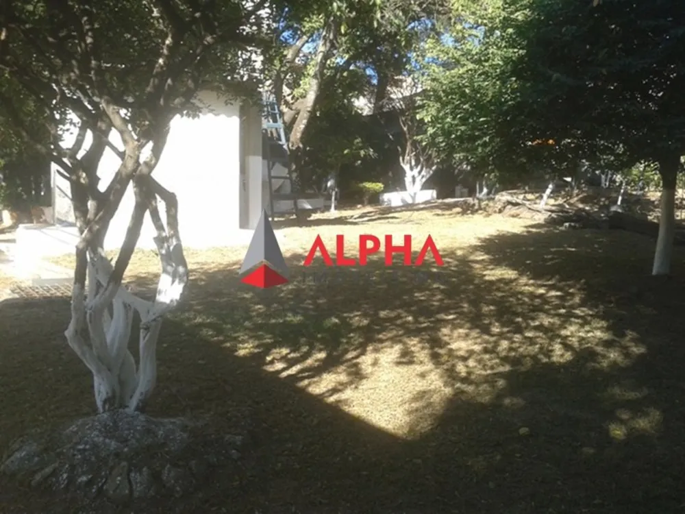 Chácara, 3 quartos - Foto 11